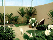 Paisagismo em Barueri